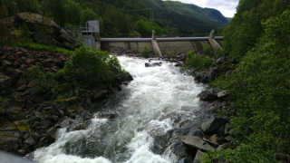 photo/fe5500a7-68c3-4e9c-80d0-214f3d0af99c-3