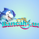 bancah5us